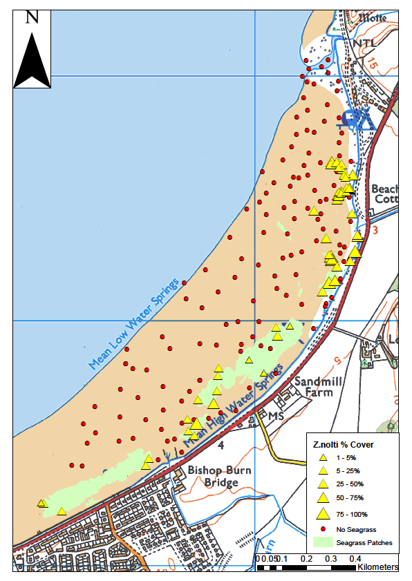 A map showing Zostera noltii data collected by SEPA in 2013 from Stranraer, superimposed over an OS map. A seagrass bed along the upper shore is mapped using both polygon and point data. Absence of seagrass is denoted by red dots which cover the vast majority of the intertidal area.