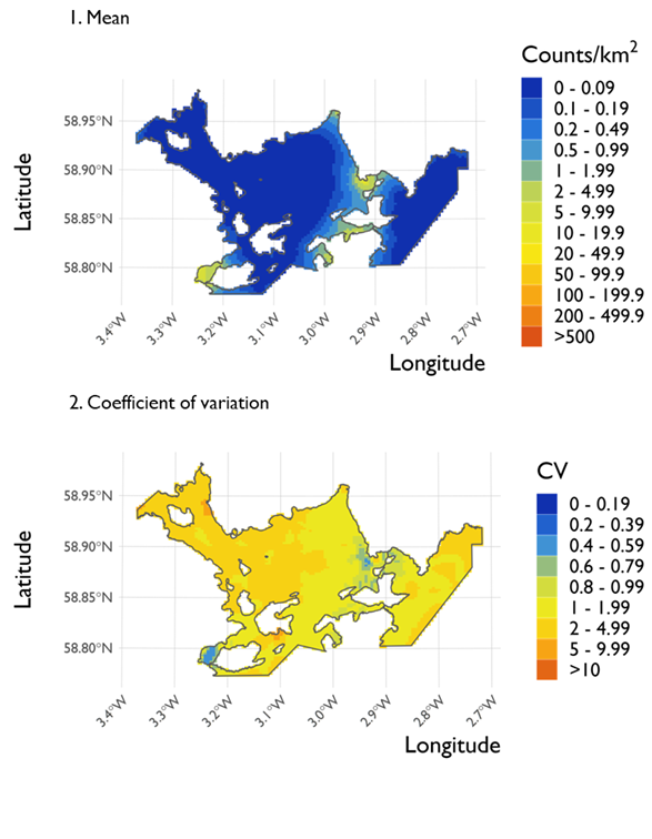 Two maps showing (1) the estimated density of red-breasted mergansers and (2) the associated coefficient of variation at Scapa Flow Special Protection Area from the surveys conducted on 21 February 2022. 