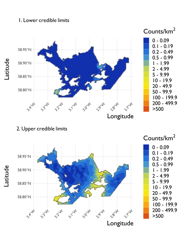 Two maps showing (1) the lower credible limits of the density estimates of red-breasted mergansers and (2) the upper credible limits at Scapa Flow Special Protection Area from the surveys conducted on 21 February 2022. 