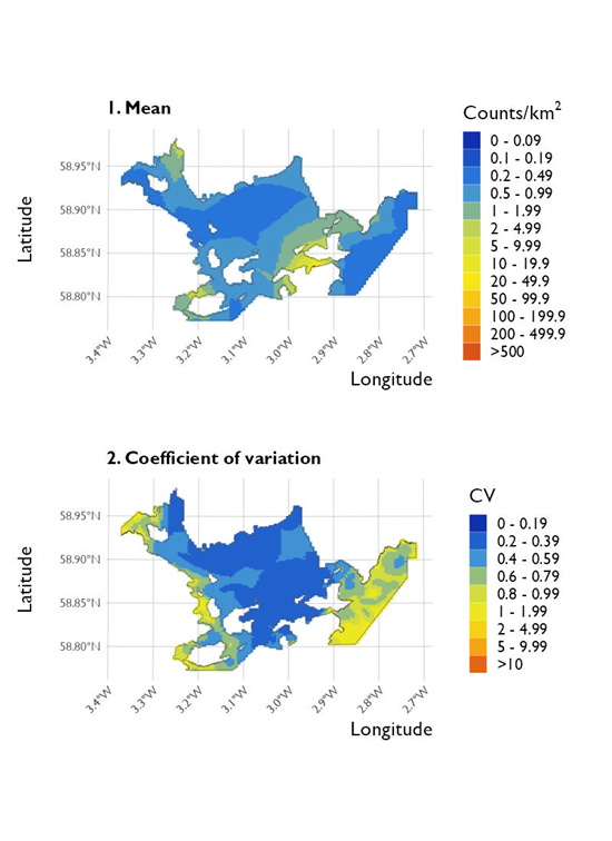 Two maps showing (1) the estimated density of red-breasted mergansers and (2) the associated coefficient of variation at Scapa Flow Special Protected Area from the surveys conducted on 20 January 2023. 