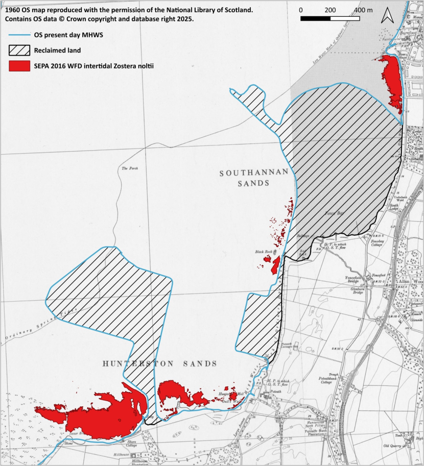 A map showing a substantial loss of intertidal areas due to construction of the Hunterston Construction Yard which is shown as a striped polygon. 1960 Mean High and Low Water Springs are displayed with the present day Mean High Water Springs showing construction of the yard extended subtidally at both Hunterston Sands and Southannan Sands. Zostera noltii distribution (presented in red) has been fragmented into four intertidal areas between the reclaimed areas.