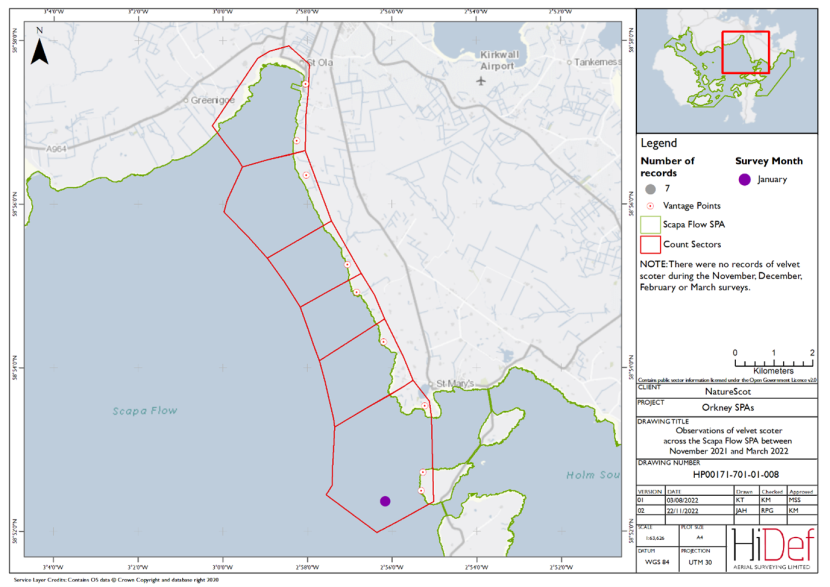 Map of shore-based observations of velvet scoter in survey sectors at the Scapa Flow Special Protection Area during the winter 2021/22 shore-based surveys.