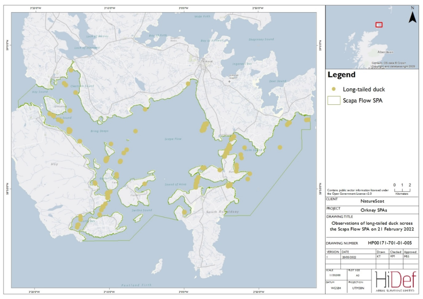 Map of Scapa Flow Special Protected Area showing locations of long-tailed duck observed in the 20 January 2023 DAS.