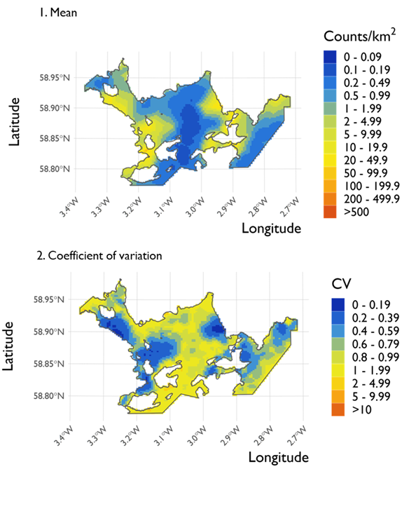 Two maps showing (1) the estimated density of long-tailed duck and (2) the associated coefficient of variation at Scapa Flow Special Protection Area from the surveys conducted on 21 February 2022. 