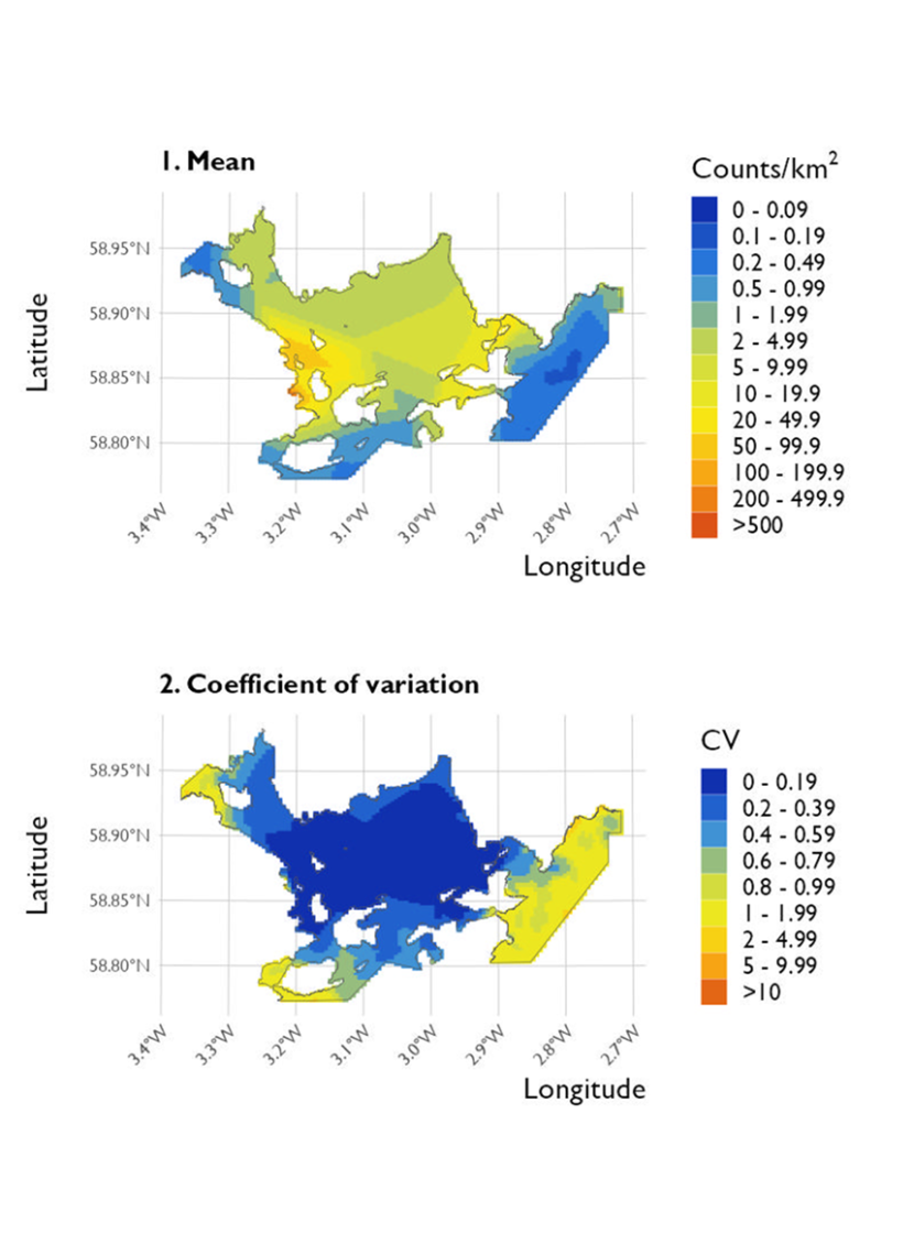 Two maps showing (1) the estimated density of long-tailed duck and (2) the associated coefficient of variation at Scapa Flow Special Protected Area from the surveys conducted on 20 January 2023. 