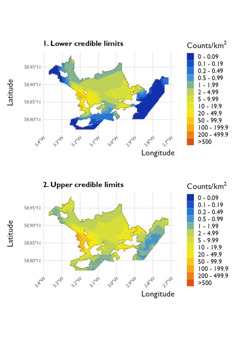 Two maps showing (1) the lower credible limits of the density estimates of long-tailed duck and (2) the upper credible limits at Scapa Flow Special Protected Area from the surveys conducted on 20 January 2023. 