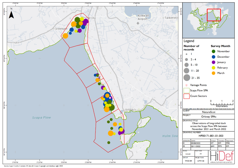 Map of shore-based observations of long-tailed duck in sectors at the Scapa Flow Special Protection Area during the winter 2021/22 shore-based surveys.