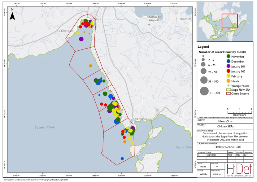 Map of shore-based observations of long-tailed duck in sectors at the Scapa Flow Special Protected Area during the winter 2022/23 shore-based surveys.