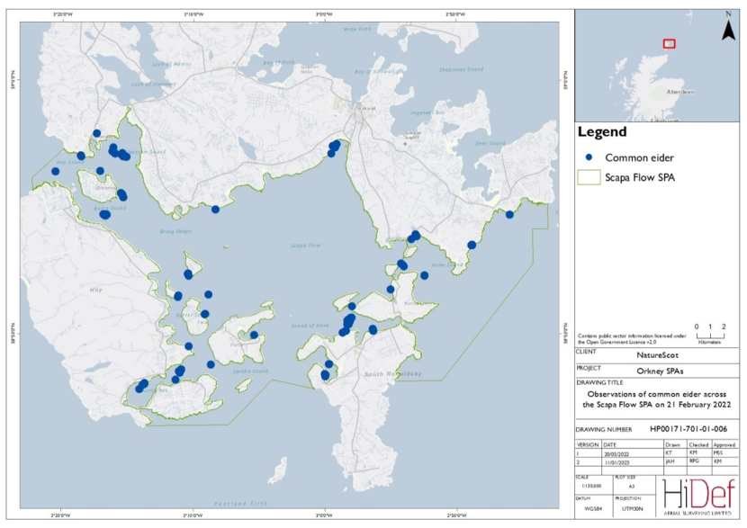 Map of Scapa Flow Special Protection Area showing locations of common eider observed in the February 2022 DAS.