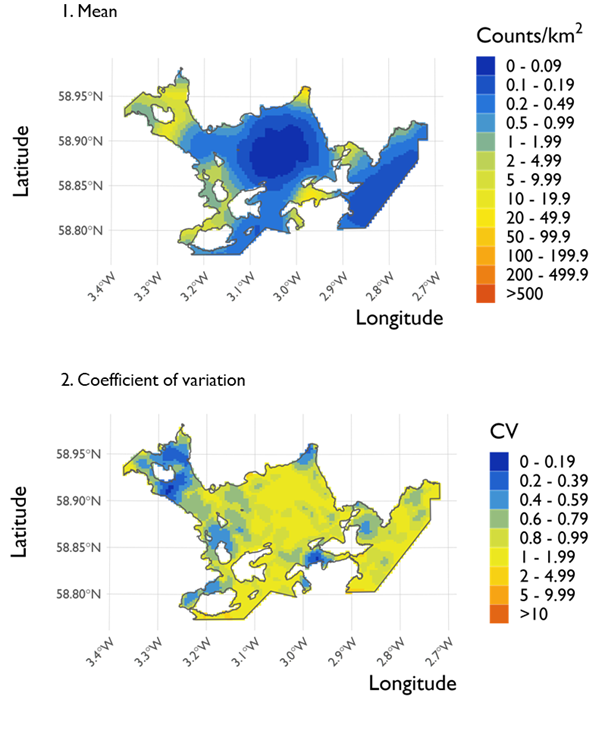 Two maps showing (1) the estimated density of common eider and (2) the associated coefficient of variation at Scapa Flow Special Protection Area from the surveys conducted on 21 February 2022. 