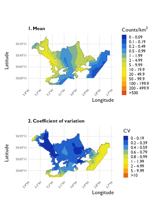 Two maps showing (1) the estimated density of common eider and (2) the associated coefficient of variation at Scapa Flow Special Protected Area from the surveys conducted on 20 January 2023. 