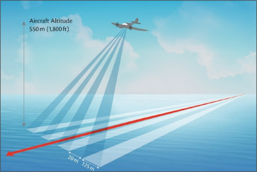 Diagram showing the HiDef aerial system with four cameras used to undertake the DAS in February 2022 and January 2023.