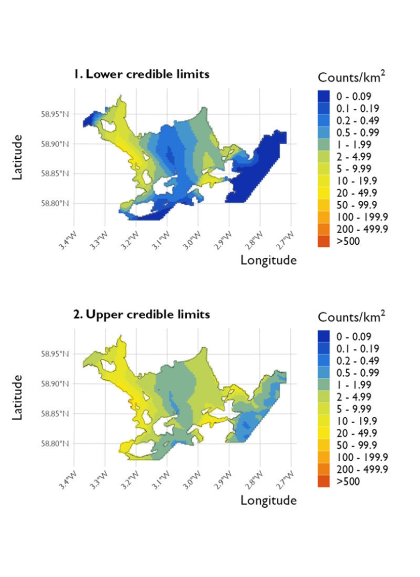 Two maps showing (1) the lower credible limits of the density estimates of common eider and (2) the upper credible limits at Scapa Flow Special Protected Area from the surveys conducted on 20 January 2023. 