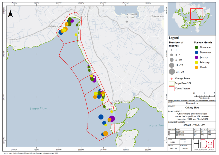 Map of shore-based observations of common eider in sectors at the Scapa Flow Special Protection Area during the winter 2021/22 shore-based surveys.