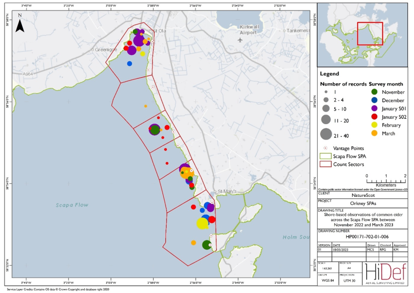 Map of shore-based observations of common eider in sectors at the Scapa Flow Special Protected Area during the winter 2022/23 shore-based surveys.
