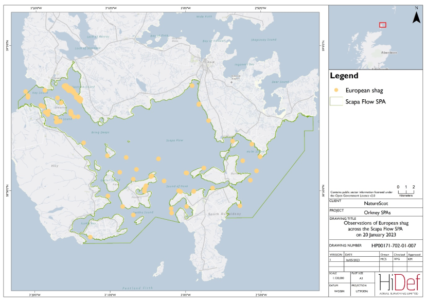 Map of Scapa Flow Special Protected Area showing locations of European shag observed in the 20 January 2023 DAS.