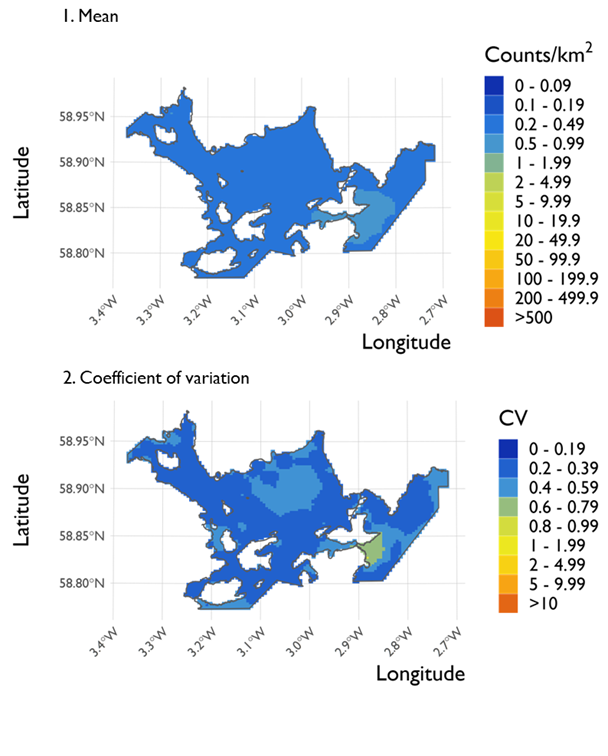 Two maps showing (1) the estimated density of European shag and (2) the associated coefficient of variation at Scapa Flow Special Protection Area from the surveys conducted on 21 February 2022. 