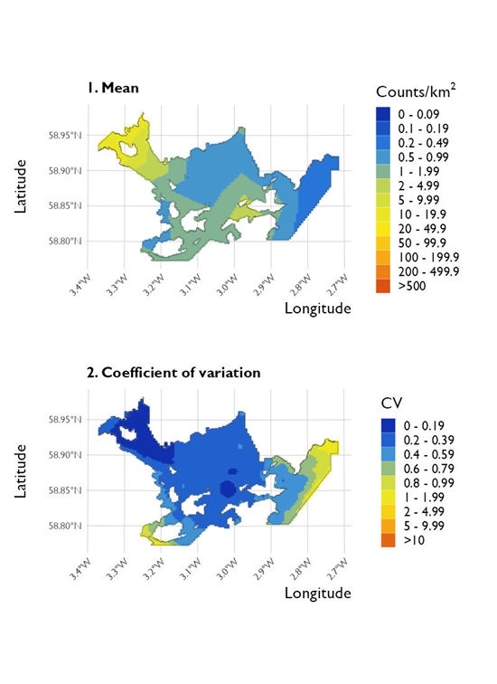 Two maps showing (1) the estimated density of European shag and (2) the associated coefficient of variation at Scapa Flow Special Protected Area from the surveys conducted on 20 January 2023. 