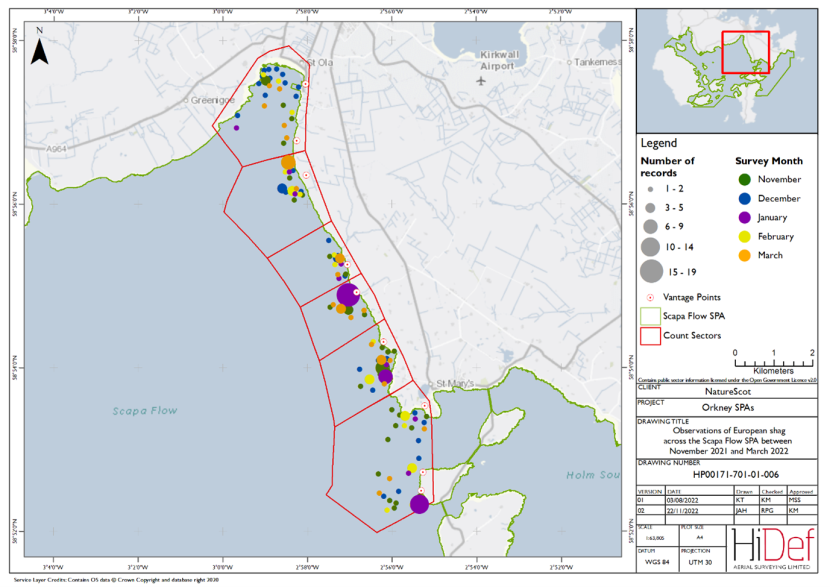Map of shore-based observations of European shag in sectors at the Scapa Flow Special Protection Area during the winter 2021/22 shore-based surveys.