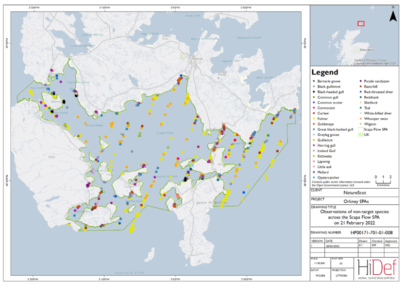 Map showing aerial observations of non-target species within the Scapa Flow Special Protection Area on 21 February 2022.