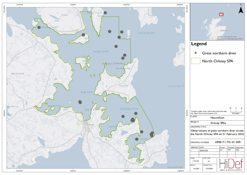 Map of North Orkney Special Protection Area showing locations of great northern divers observed in the February 2022 DAS.