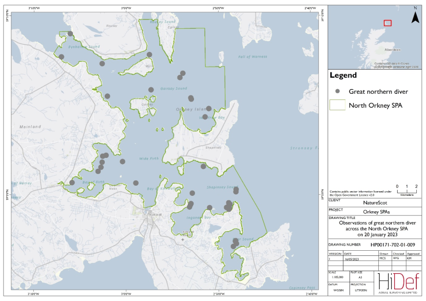 Map of North Orkney Special Protected Area showing locations of great northern divers observed in the 20 January 2023 DAS.