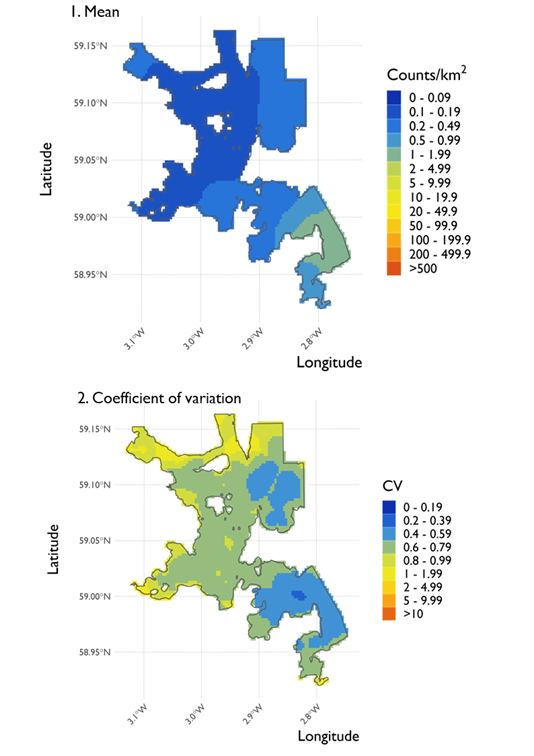 Two maps showing (1) the estimated density of great northern diver and (2) the associated coefficient of variation at North Orkney Special Protection Area from the surveys conducted on 21 February 2022. 