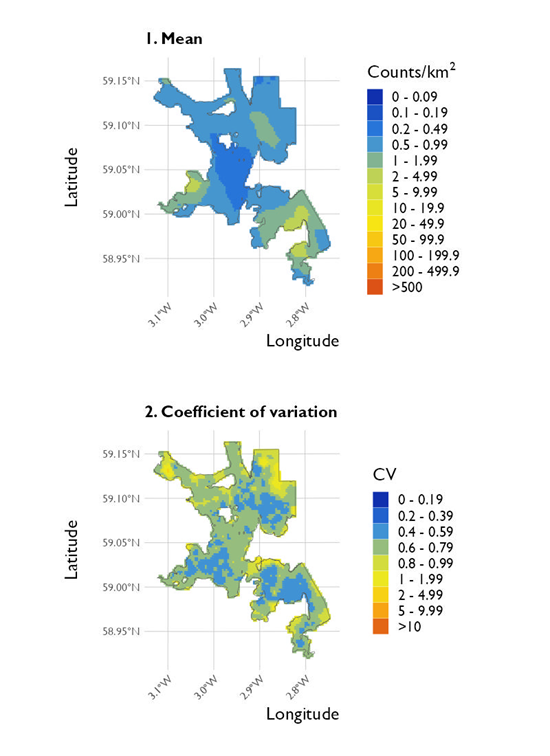 Two maps showing (1) the estimated density of great northern diver and (2) the associated coefficient of variation at North Orkney Special Protected Area from the surveys conducted on 20 January 2023. 