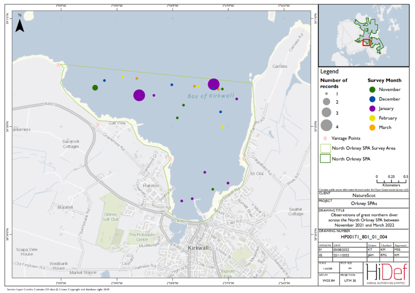 Map of shore-based observations of great northern diver at the North Orkney Special Protection Area during the winter 2021/22 shore-based surveys.