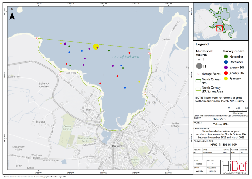 Map of shore-based observations of great northern diver at the North Orkney Special Protected Area during the winter 2022/23 shore-based surveys.