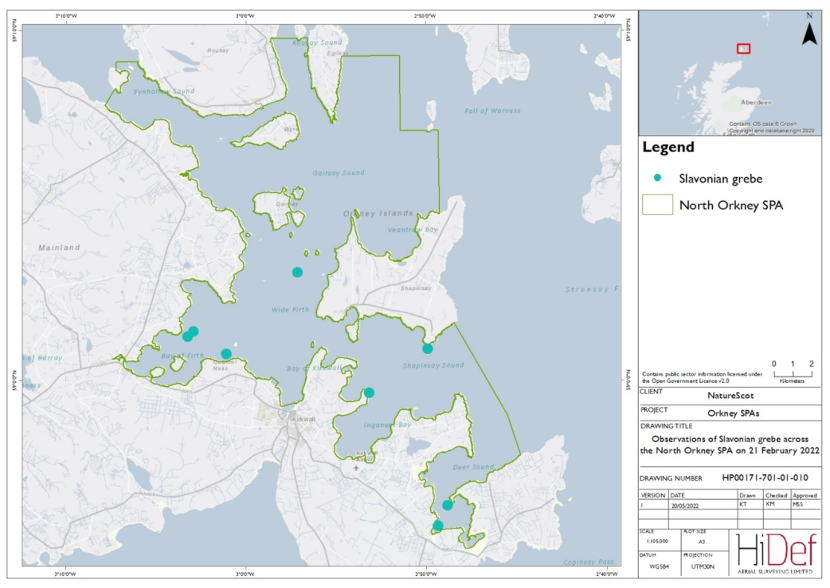 Map of North Orkney Special Protection Area showing locations of Slavonian grebe observed in the February 2022 DAS.