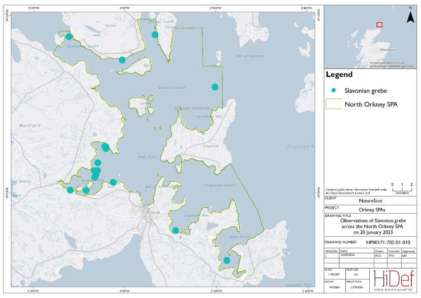 Map of North Orkney Special Protected Area showing locations of Slavonian grebe observed in the 20 January 2023 DAS.