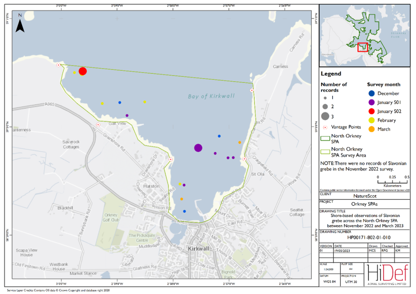 Map of shore-based observations of Slavonian grebe in part of the North Orkney Special Protected Area during the winter 2022/23 shore-based surveys.