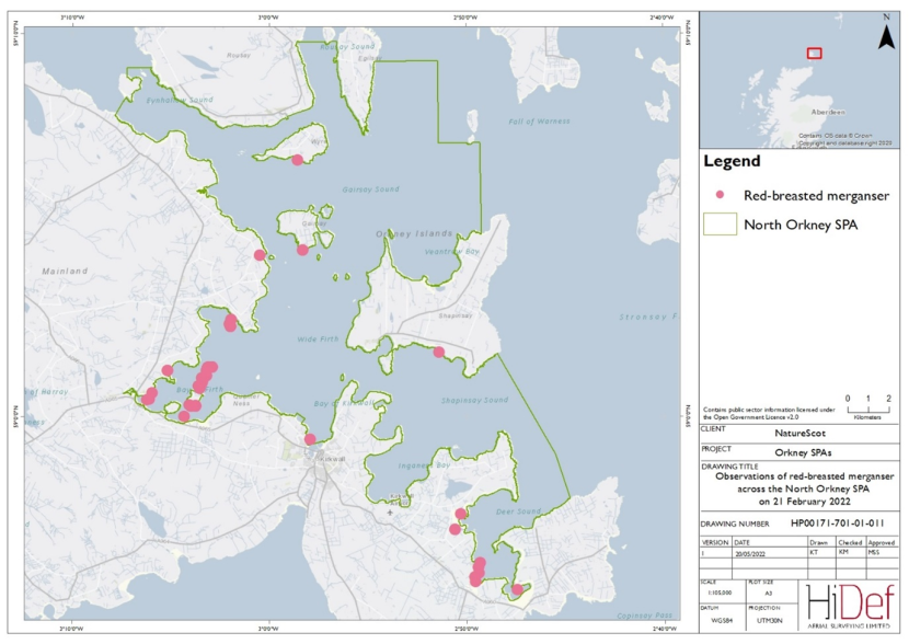 Map of North Orkney Special Protection Area showing locations of red-breasted merganser observed in the February 2022 DAS.