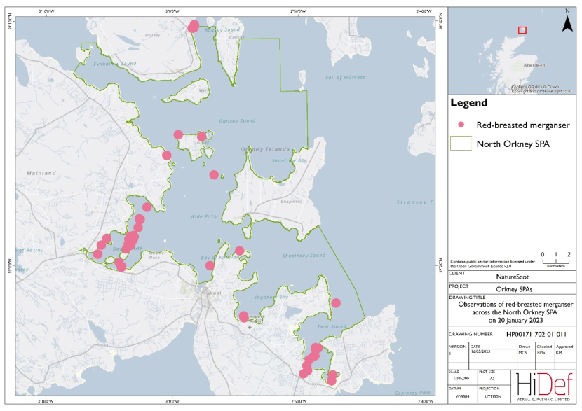 Map of North Orkney Special Protected Area showing locations of red-breasted merganser observed in the 20 January 2023 DAS.