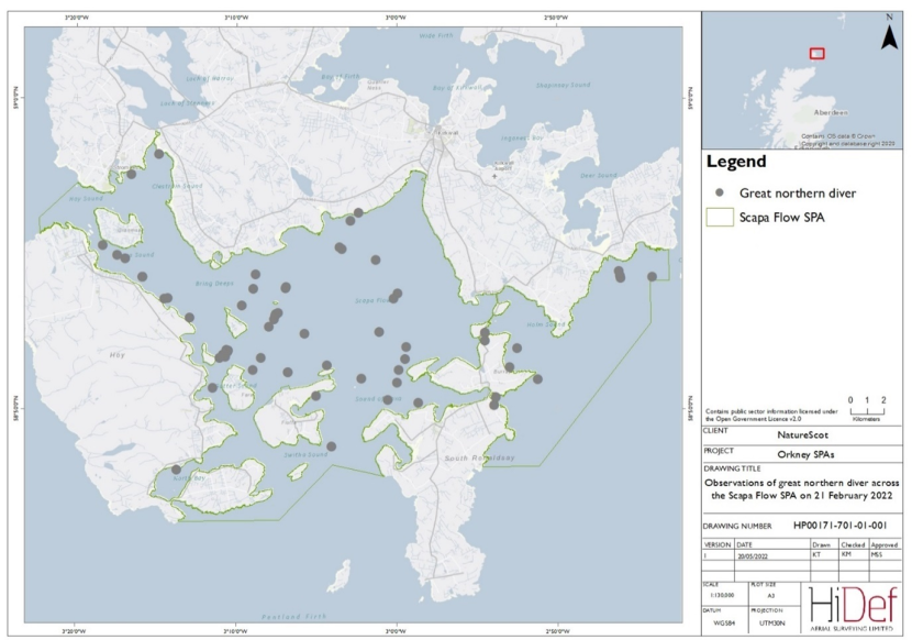 Map of Scapa Flow Special Protection Area showing locations of great northern divers observed in the February 2022 DAS.