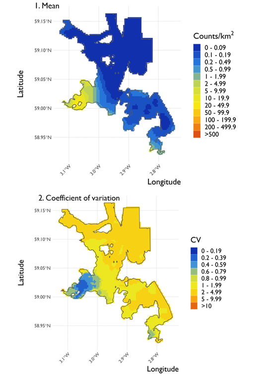 Two maps showing (1) the estimated density of red-breasted merganser and (2) the associated coefficient of variation at North Orkney Special Protection Area from the surveys conducted on 21 February 2022. 