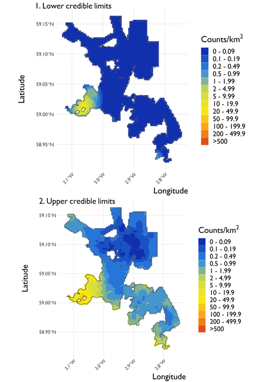 Two maps showing (1) the lower credible limits of the density estimates of red-breasted merganser and (2) the upper credible limits at North Orkney Special Protection Area from the surveys conducted on 21 February 2022. 