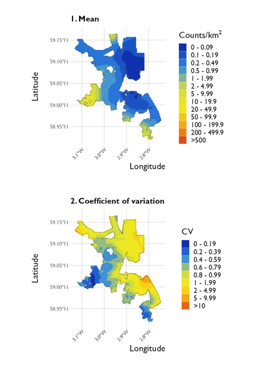 Two maps showing (1) the estimated density of red-breasted merganser and (2) the associated coefficient of variation at North Orkney Special Protected Area from the surveys conducted on 20 January 2023