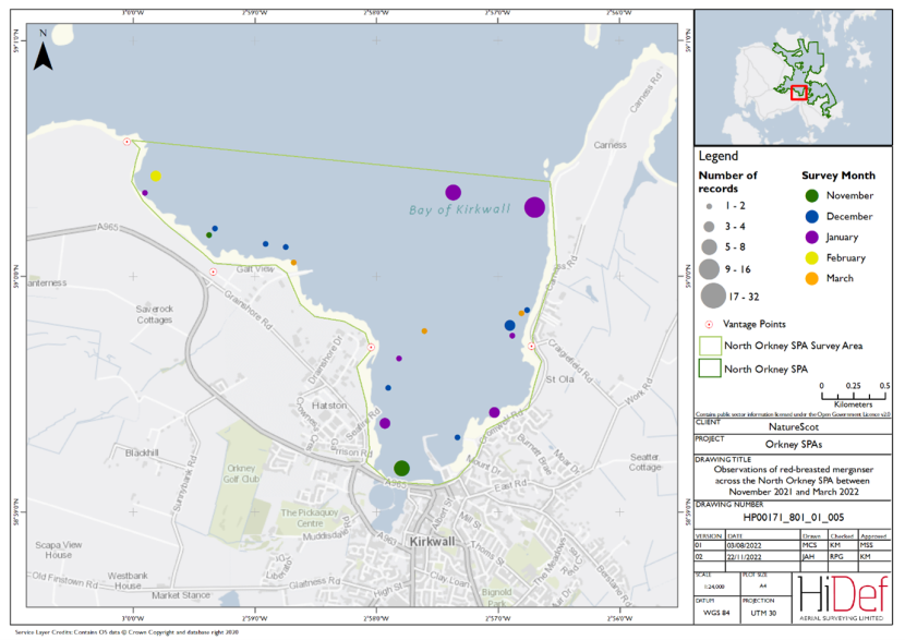 Map of shore-based observations of red-breasted merganser in part of the North Orkney Special Protection Area during the winter 2021/22 shore-based surveys.