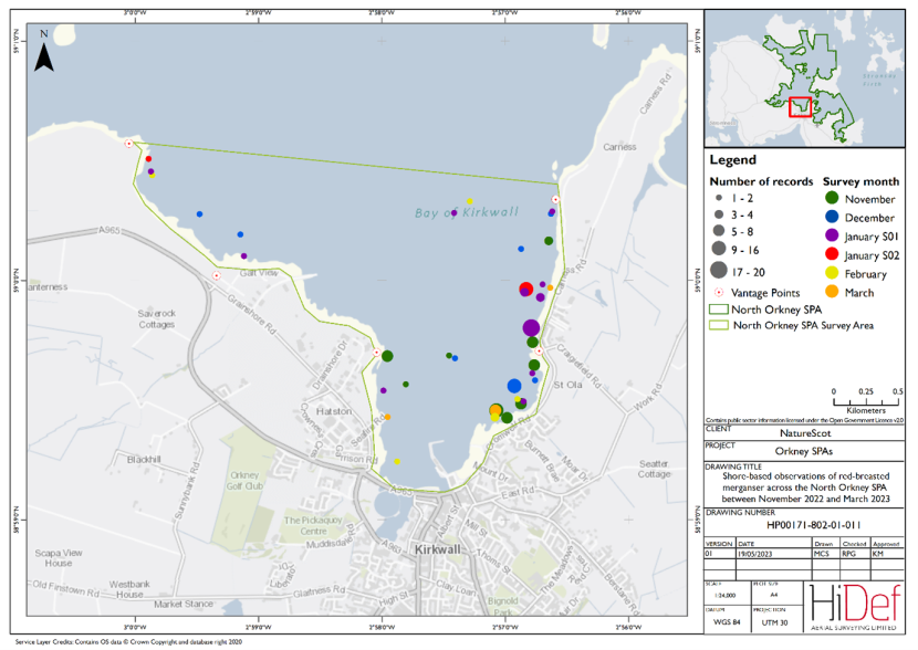 Map of shore-based observations of red-breasted merganser in part of the North Orkney Special Protected Area during the winter 2022/23 shore-based surveys.
