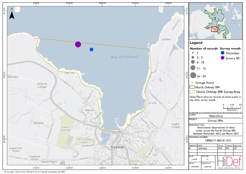 Map of shore-based observations of velvet scoter in part of the North Orkney Special Protected Area during the winter 2022/23 shore-based surveys.