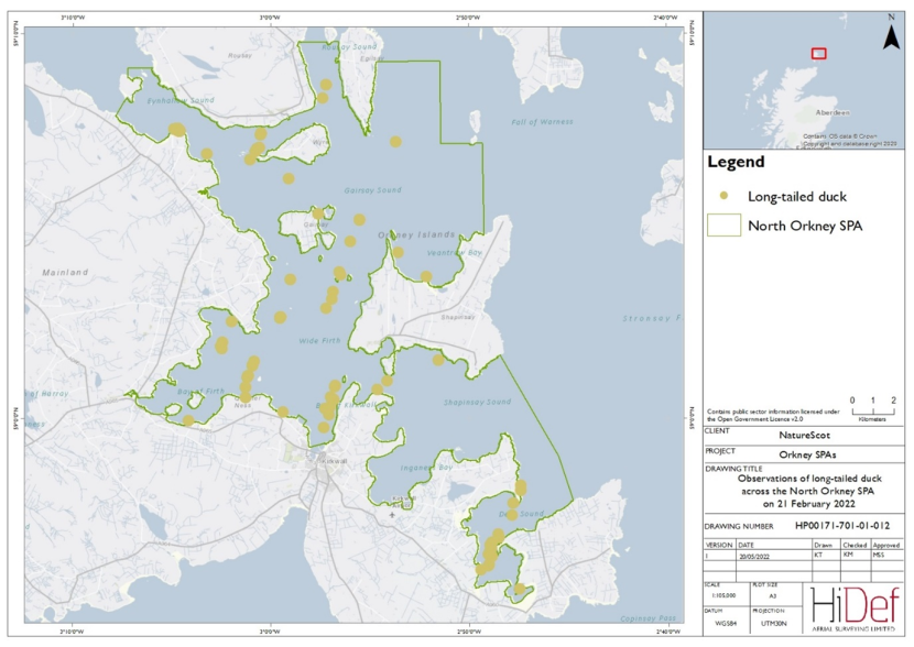 Map of North Orkney Special Protection Area showing locations of long-tailed duck observed in the February 2022 DAS.
