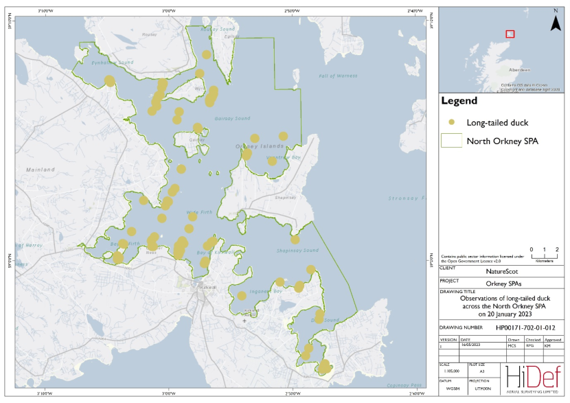 Map of North Orkney Special Protected Area showing locations of long-tailed duck observed in the 20 January 2023 DAS.