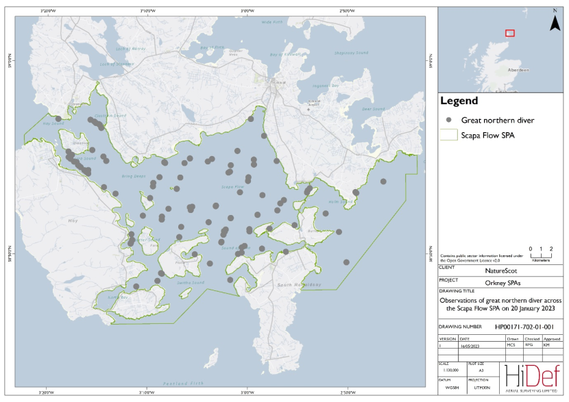 Map of Scapa Flow Special Protected Area showing locations of great northern divers observed in the DAS on 20 January 2023.