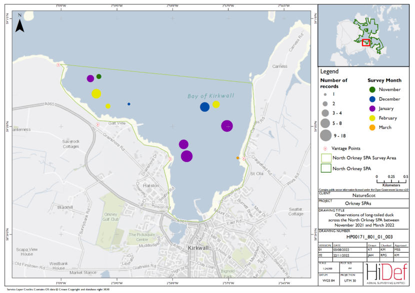 Map of shore-based observations of long-tailed duck in part of the North Orkney Special Protection Area during the winter 2021/22 shore-based surveys.
