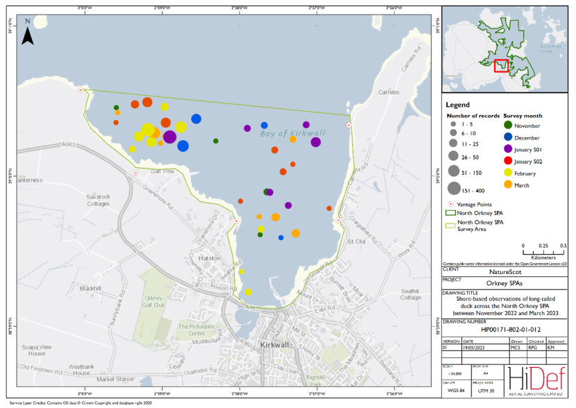 Map of shore-based observations of long-tailed duck in part of the North Orkney Special Protected Area during the winter 2022/23 shore-based surveys.