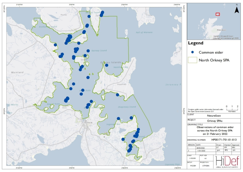 Map of North Orkney Special Protection Area showing locations of common eider observed in the February 2022 DAS.