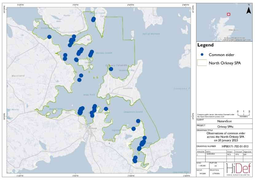 Map of North Orkney Special Protected Area showing locations of common eider observed in the 20 January 2023 DAS.