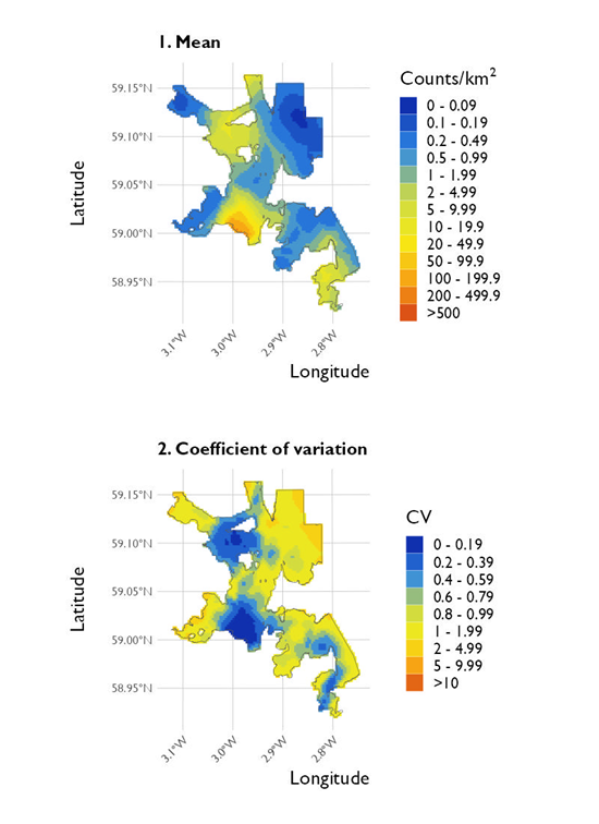 Two maps showing (1) the estimated density of common eider and (2) the associated coefficient of variation at North Orkney Special Protected Area from the surveys conducted on 20 January 2023. 
